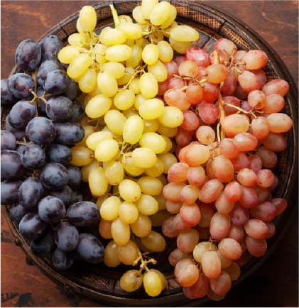 Fresh food ingredients